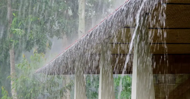বৃষ্টির ছবি